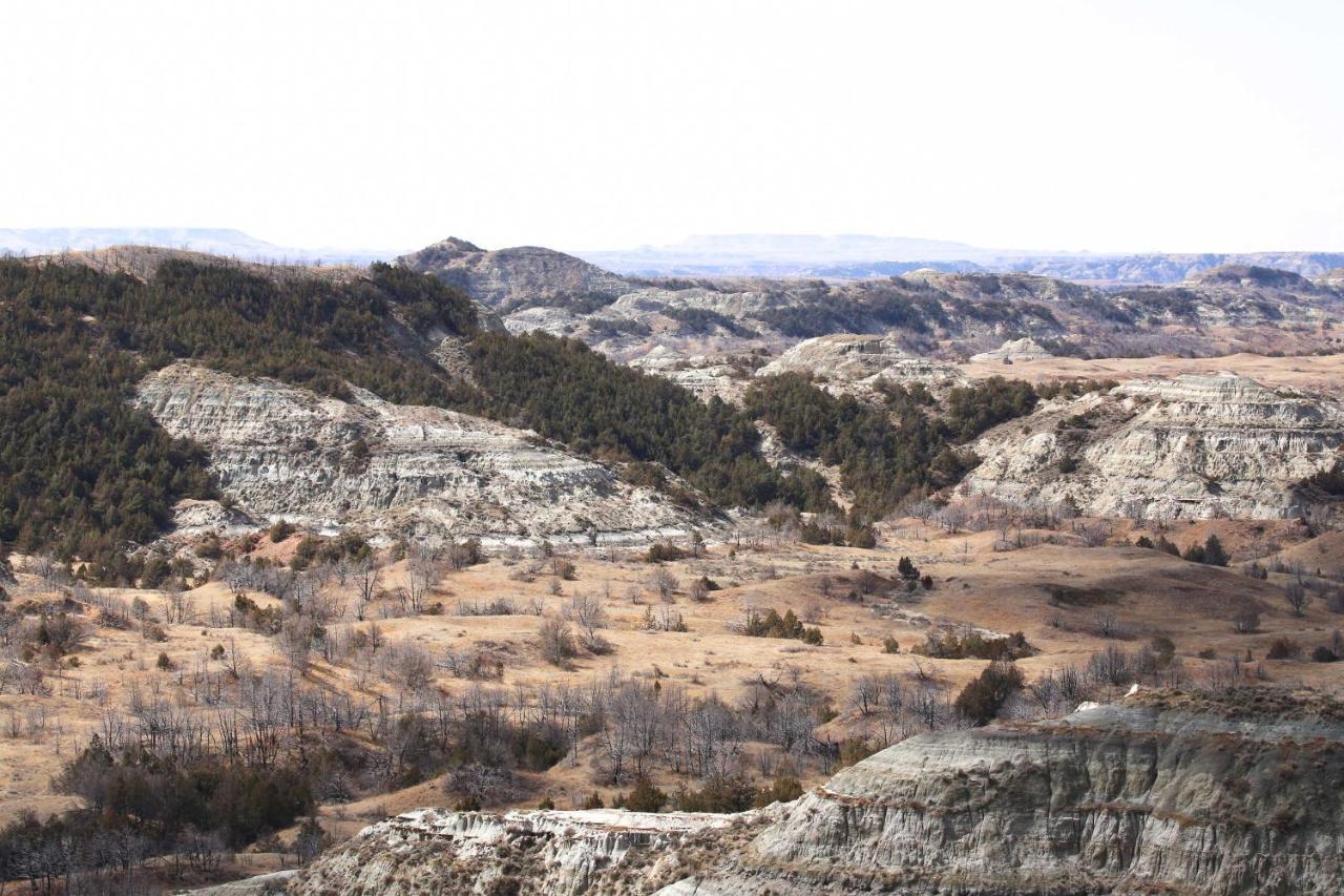 Badlands Suite Less Than 1 Mi To Teddy Roosevelt Park! Medora Luaran gambar