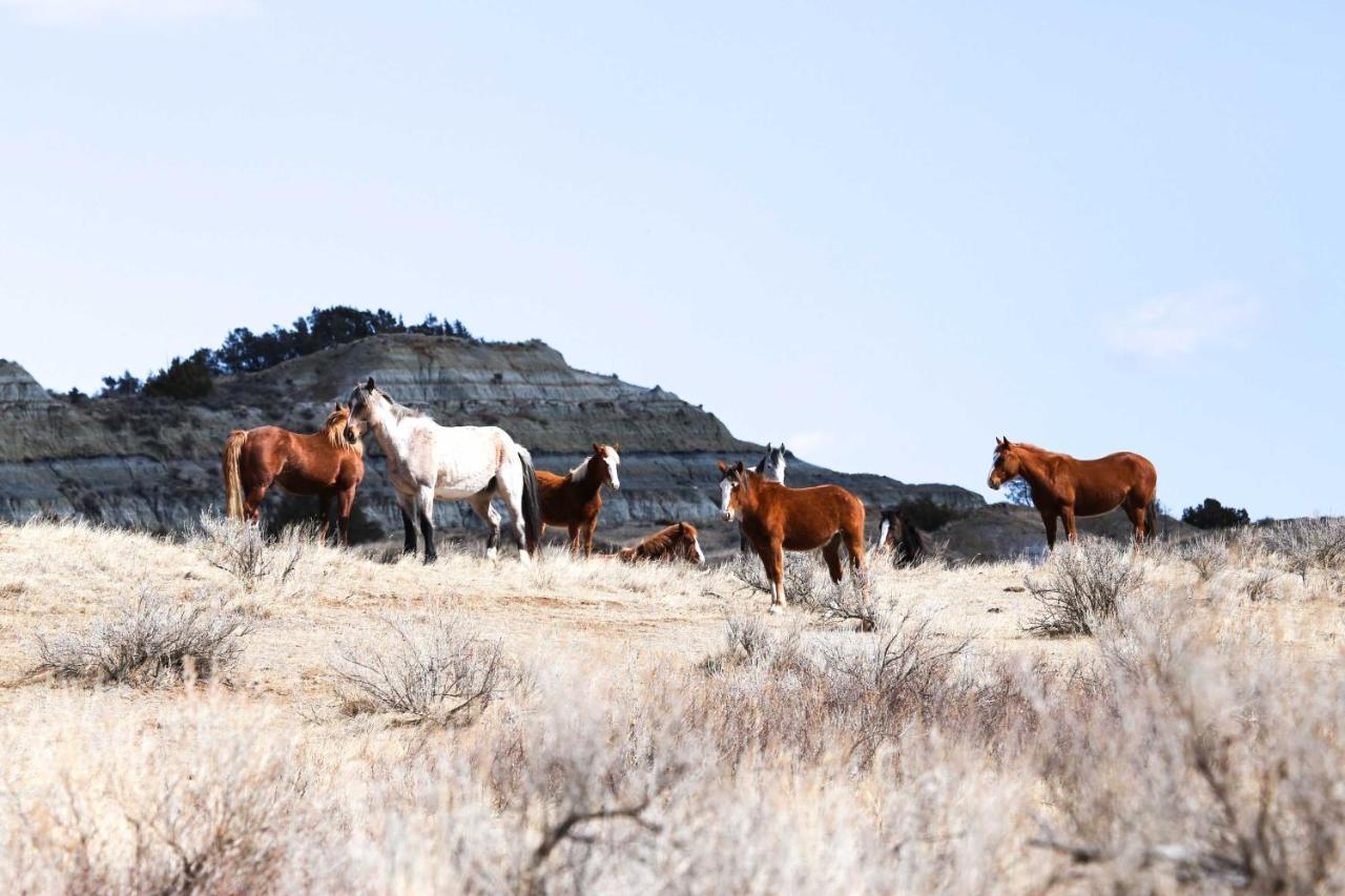 Badlands Suite Less Than 1 Mi To Teddy Roosevelt Park! Medora Luaran gambar